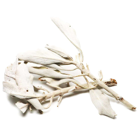 【ホワイトセージ】浄化&ヒーリング