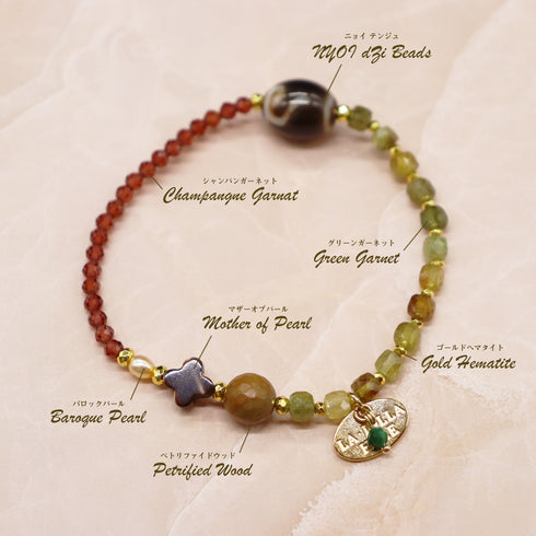 【Open the Jewelry Box!】如意天珠×グリーンガーネット×シャンパンガーネット×ペトリファイドウッド ブレスレット